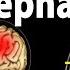 Encephalitis Animation