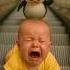The Cut Baby Little Penguin The Electric CD Rescue Youtube Short Video Viral Short Feed