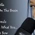 Rihanna Rihanna New Playlist 2024 I Bet You Know These Songs 2024