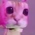 El Gato Cats Dance To Oliver Tree Miss You Bemax Remix
