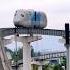 The Cute Pig Worm Light Rail Not Even A Month Old Has Already Started Working Shorts