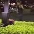 Funniest Arrest I Have Ever Seen My Safe Word Is Pineapple Juice