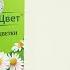 Ромашки цветки инструкция по применению препарата Показания как применять обзор препарата
