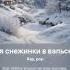 кружатся снежинки в вальсе зимнем