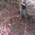 Hiking With Hal