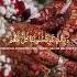 Beautiful Arabic Wedding Nasheed