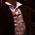 J Offenbach LES CONTES D HOFFMANN Parma 1988 Kraus Welting Omilian Hendricks GUINGAL