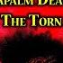 Napalm Death Down In The Zero