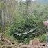 365 Days Of An Unfortunate Infertile Single Mother Luckily Met Her Adopted Child In The Deep Forest