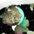 космос ППК воскрешение 3d видео