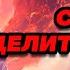 Аудиокнига ПОПАДАНЦЫ СВЕТ ЦЕЛИТЕЛЬСТВА