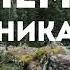 С днём работника леса