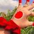 Hello Rani Hey Rani Hand Dance
