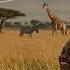 Hakuna Matata Swahili Love Songs Romantic Chill Vibes For Relaxation Stress Relief Focus Romance