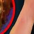 Did You Kill Her Says No Nods Yes The Case Of Lydia Tillman