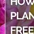 HOW TO PLANT FREESIA BULBS Shorts