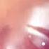 Enemy Jennifer Lauren Effects July 2020