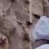 SLYC TANDIGWIRE DALE Official Video
