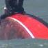 9 Rescued From Sinking Sailboat In San Francisco Bay