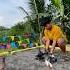 Terbangin Merpati Jarak Dekat Merpati Pigeon Merpatitinggian