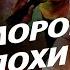 Почему судьбы юмористов 90 х сложились так трагически Евдокимов Иванов Арлазоров