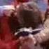 Spock S Vulcan Nerve Pinch
