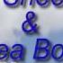 Ed Sheeran Andrea Bocelli Perfect Symphony Lyrics
