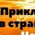 Приключения в стране львов Часть 1
