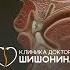 Шум в ушах гайморит и ковид Секреты лучшего ЛОР врача и самый сопливый выпуск Хорошей медицины