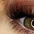 Beginners Eye Makeup Tutorial Parts Of The Eye How To Apply Eyeshadow
