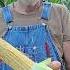 Is It READY In The CORN Field