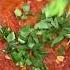 How To Make Pasta Pomodoro In 15 Minutes MyHealthyDish