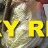 5 Tips For Fishing A Wacky Rig Senko Bass Fishing