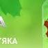 НОВА ЯВОРА PREMIUM QUALITY