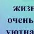 Детская библиотека 2 г Минска Буктрейлер к книге Моя счастливая жизнь Р Лагеркранц