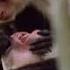 Funny Talking Animals Walk On The Wild Side BBC