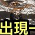 官方被迫承認房價下跌加速 被套房奴出現一線希望 紐約市長選舉意外扯出習主席貪腐案 為何伊朗不經打 新華社認為俄羅斯有責任 台灣得小心