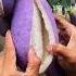 China S New Fruit Looks Just Like Brinjal Shortsvideo