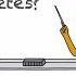 What Did Dogs Teach Humans About Diabetes Duncan C Ferguson