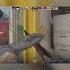CS2 Faceit 3600 Elo 4 Kill Shorts Cs2 Keşfet Cs2clips Cs2highlights Csgo Counterstrike2
