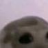 Top 5 Sad Hamster Meme