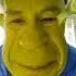 Shrek I M Baby
