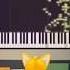 Dont Use The Piano Sound Shorts Animation Funny