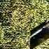 Tohir Sodiqov Nega Unday Qilding Sen