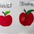 How To Draw Apple Noob Vs Pro