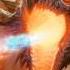 Dragon Sound Effects