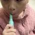 Brush Your Teeth Joy Trending Brush Brushteeth Viralvideo Habits Cutebaby Baby