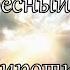Небесный луч Сиротка