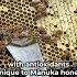 3 Health Benefits Of Manuka Honey