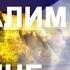 НОВЫЙ ИЕРУСАЛИМ В УКРАИНЕ Игорь Беркут